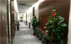 办公楼租赁建议及案例